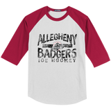 Allegheny Badgers Youth Colorblock Raglan Jersey